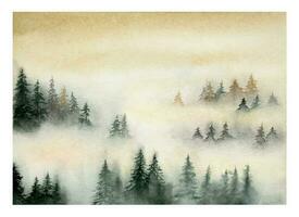 Hand drawn watercolor misty woods landscape. Foggy forest. vector