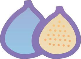 Fig Vector Icon Design