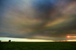 Smoke cloud Fire in La Pampa, Argentina photo