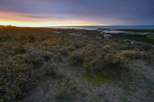 Coastal landscape in Peninsula Valdes at dusk, World Heritage Site, Patagonia Argentina photo