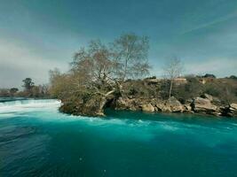 lago y naturaleza ver cubierto con magnífico arboles foto