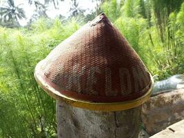 the atmosphere in a hut near the rice fields in a place in Indonesia photo