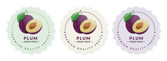 Plum packaging design templates, watercolour style vector illustration.