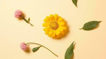 Flower on a yellow background. Summer flower flat lay on yellow background. Top view, copy space. AI Generated photo