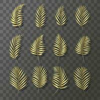 Palm leaves made of gold. Set of golden tropical leaves on a transparent background. Vector illustration.