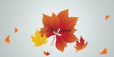 background vector design with autumn theme.