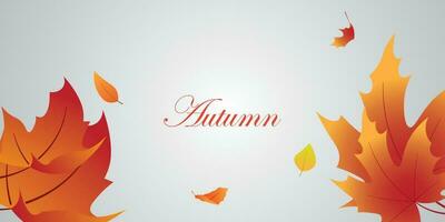 background vector design with autumn theme.