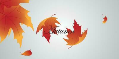 background vector design with autumn theme.