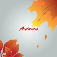 background vector design with autumn theme.