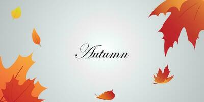 background vector design with autumn theme.