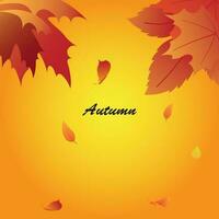 Abstract background design with a summer theme vector