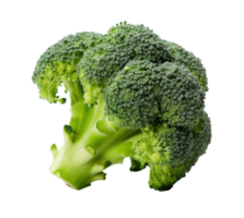 fresco brocolli isolato. illustrazione ai generativo png