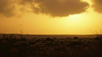 un naranja atardecer, molinos de viento son visible en el distancia. video