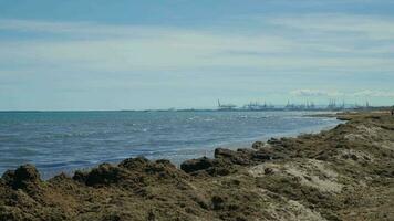 The polluted coast of the city beach, an environmental problem. video