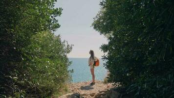 A woman walking towards the ocean with a backpack video