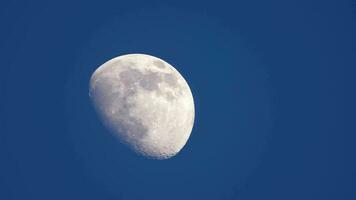 moitié lune magnifique vue à soir, mai 2020 video