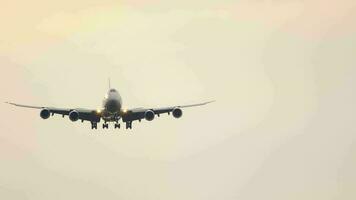 The widebody airplane on the final approach before landing on the background of the sunrise cloudy sky video