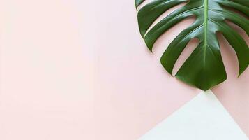 Background with leaves. Tropical leaves Monstera on white and pink pastel background. AI Generated photo