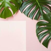 Background with leaves. Tropical leaves Monstera on white and pink pastel background. AI Generated photo