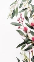 Branch with flowers. Flowers composition Eucalyptus leaves and pink flowers. AI Generated photo