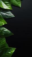 Leaves on dark background. Black background with frame made of green leaves and copy space. AI Generated photo