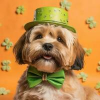 Yorkshire terrier in a hat. Portrait of a dog dressed as a leprechaun. AI generative photo