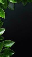 Leaves on dark background. Black background with frame made of green leaves and copy space. AI Generated photo