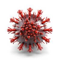 Corona Virus Mutation isolated on white background. . photo