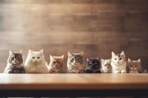 Wooden table with many cats. International cat day. photo
