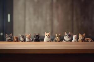 Wooden table with many cats. International cat day. photo