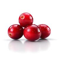 Fresh cranberry isolated. photo