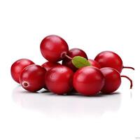 Fresh cranberry isolated. photo