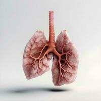 3d Human lungs on white background. Generative AI photo
