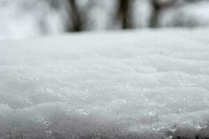 Fluffy White Snow on the Ground in Winter photo