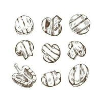 A set of hand-drawn sketches of champignons, grilled zucchini and  bell peppers. For the design of the menu of restaurants and cafes, steaks. Vintage doodle illustration. The engraved image. vector