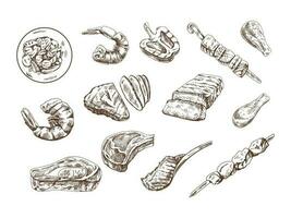 A set of hand-drawn sketches of different types of meat, steaks, shrimp, chicken, grilled vegetables, barbecue. Doodle vintage illustration. Engraved image. vector