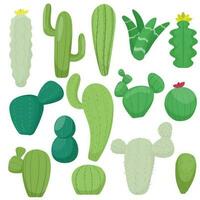 vector conjunto cactus colección