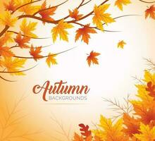 Autumn Leaves Background, Hand Drawn Flat Autumn Background, Maple Leaf Autumn Background