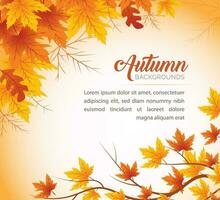 Autumn Leaves Background, Hand Drawn Flat Autumn Background, Maple Leaf Autumn Background vector