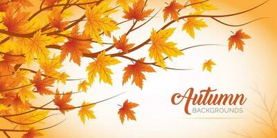 Autumn Leaves Background, Hand Drawn Flat Autumn Background, Maple Leaf Autumn Background