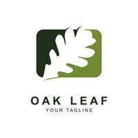Oak leaf logo design template vector