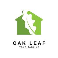 Oak leaf logo design template vector