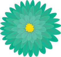 Light turquoise chrysanthemum flower vector illustration