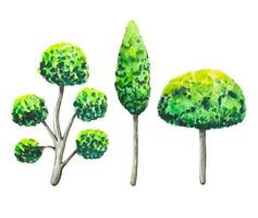 Collection of green trees, watercolor vector