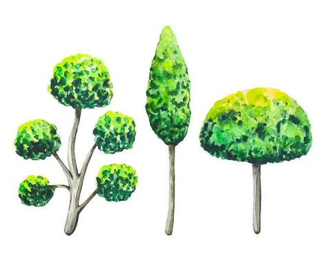 Collection of green trees, watercolor