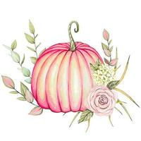 Watercolor composition. Hand painted pumpkin. Botanical illustration for design, print or background vector