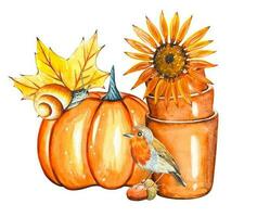 Autumn watercolor composition with pumpkin, snail, bird, pots. vector