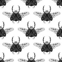Beautiful big beetle with flowers. Lovely bugs by ink. Seamless pattern with cartoon element vector