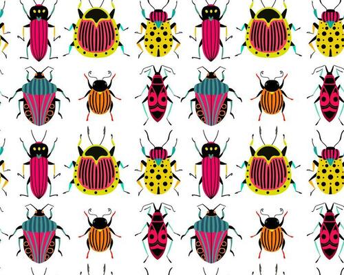 Lots of different bugs. Seamless pattern with cartoon element