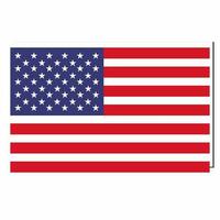 vector image illustration of american flag isloalted on white background photo